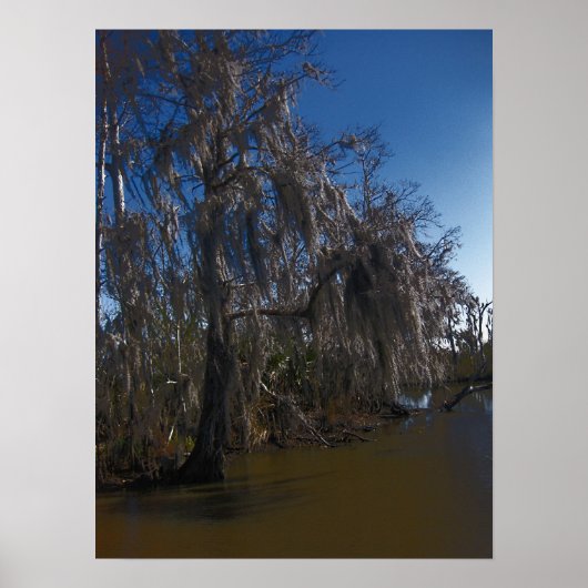Poster Nouvelle-Orléans Bayou (Devant)