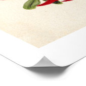 Poster Nouvelle-Zélande Clianthus Puniceus Rouge Kowhai F (Coin)