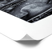 Poster Nouvelle-Zélande, Curio Bay et Catlins Coast (Coin)