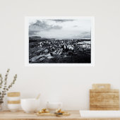 Poster Nouvelle-Zélande, Curio Bay et Catlins Coast (Cuisine)