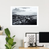 Poster Nouvelle-Zélande, Curio Bay et Catlins Coast (Bureau à domicile)