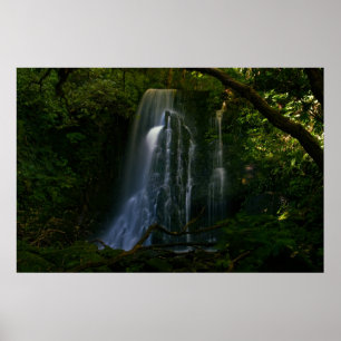 Poster Nouvelle-Zélande : Matai Falls