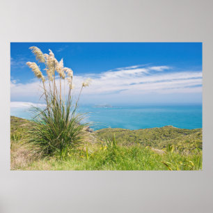 Poster Nouvelle-Zélande, North Island, Cap Reinga 2