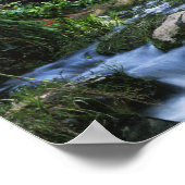 Poster Nouvelle-Zélande, North Island, Gorge de Karangaha (Coin)