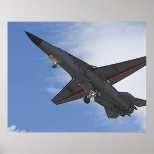 Poster Nouvelle-Zélande, Otago, Wanaka, se frotte les co