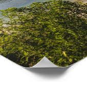 Poster Nouvelle-Zélande, Southland, Stewart Island, Halfm (Coin)