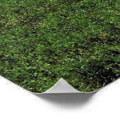 Poster Nouvelle-Zélande typique (Coin)