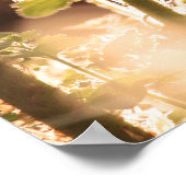 Poster Nouvelles frondes de support de débordement au pri (Coin)