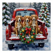 Poster Nova Scotia Duck Tolling Retriever Christmas Red (Devant)