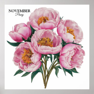 Poster Novembre Peony Bloom - Cadeau d'anniversaire perso