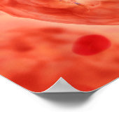 Poster Noyau Cellulaire Avec Chromosome 2 (Coin)