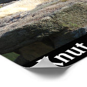 Poster Noyer l'ours polaire du zoo de Berlin (Coin)