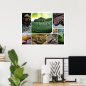 Poster NR Snake Photography_Page000 (Bureau à domicile)