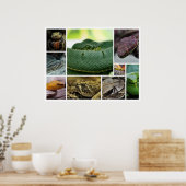 Poster NR Snake Photography_Page000 (Cuisine)