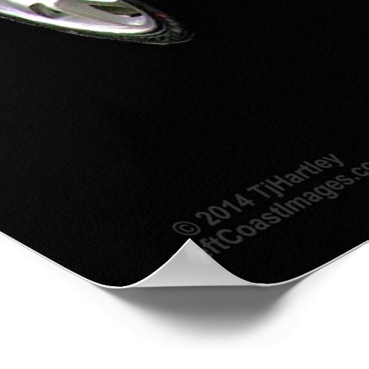 POSTER NSX JAUNE MELLOW (Coin)