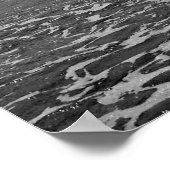 Poster Nuage sur Palm Beach (Coin)