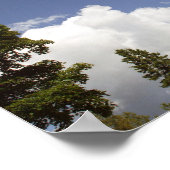 Poster Nuages au-dessus des arbres (Coin)