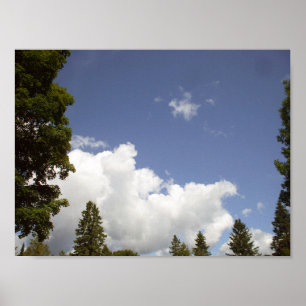 Poster Nuages au-dessus des arbres