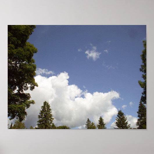 Poster Nuages au-dessus des arbres (Devant)