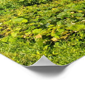 Poster Nuages de la promenade Blue Ridge (Coin)