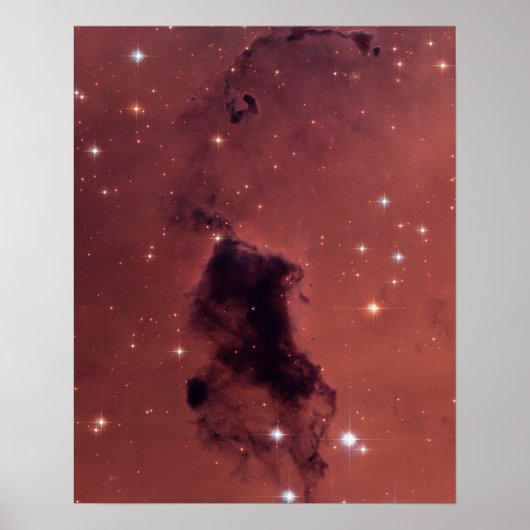 Poster Nuages de poussière noire Rose (Devant)