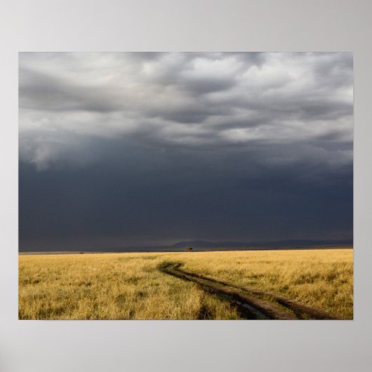 Poster Nuages d'orage et route à travers les plaines gaze (Devant)