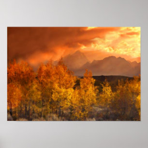 Poster Nuances De L'Art D'Automne