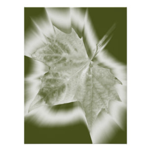 Poster nuances de vert