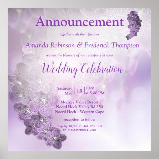 Poster Nuances d'orchidées violettes pourpre (Devant)