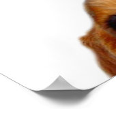 Poster 'Nuff Said ! (Coin)