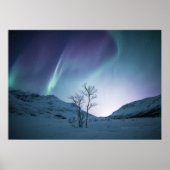 Poster Nuit Aurora Borealis (Devant)