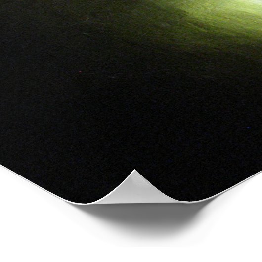 Poster Nuit Bouddha (Coin)