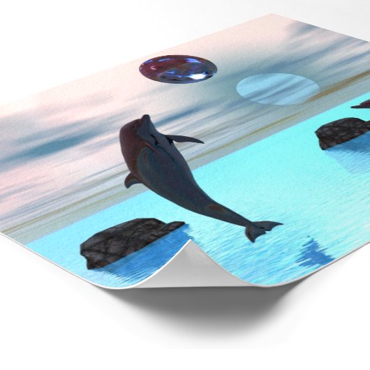 Poster Nuit des dauphins (Coin)