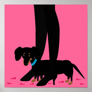 Poster Nuit des filles - Dachshund