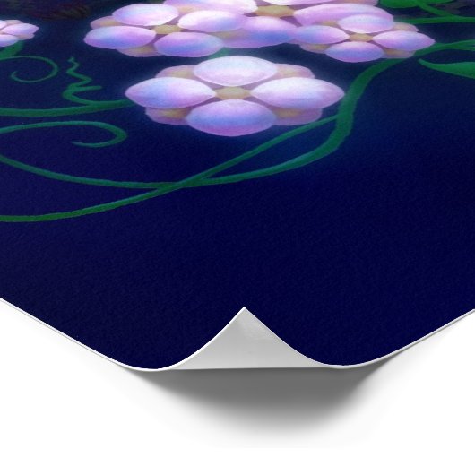 Poster Nuit d'été (Coin)