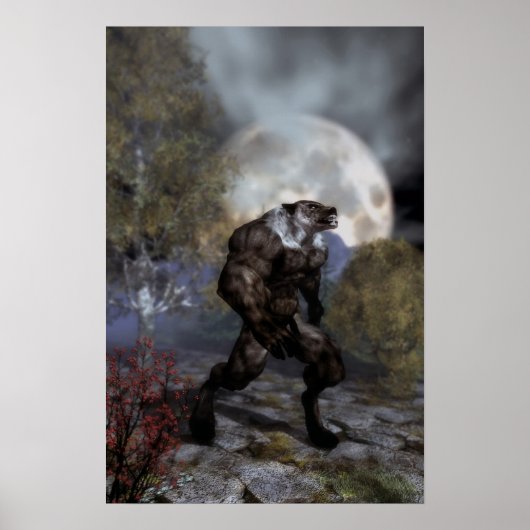 Poster Nuit Du Loup (Devant)