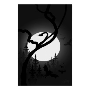 Poster Nuit enchantée