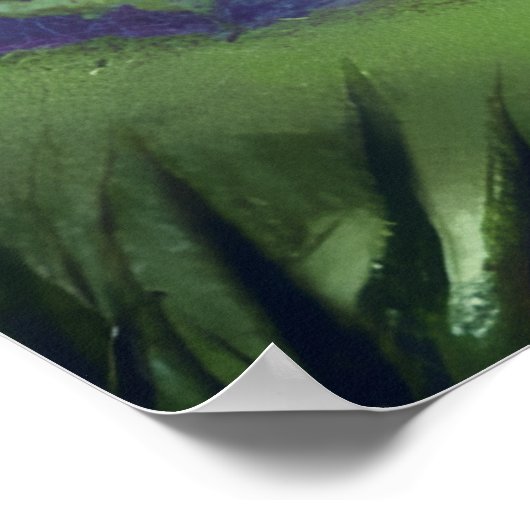 Poster Nuit étoilée (Coin)