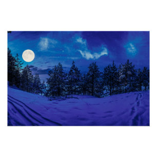Poster Nuit étoilée avec pleine lune en forêt