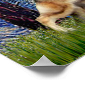 Poster Nuit étoilée - berger allemand 13 (Coin)