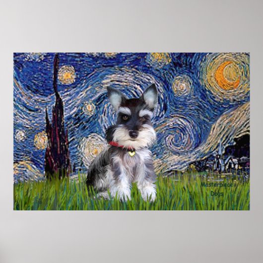 Poster Nuit étoilée - chiot Schnauzer #10 (Devant)