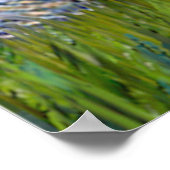 Poster Nuit étoilée - Schnauzer Puppy #10 (Coin)