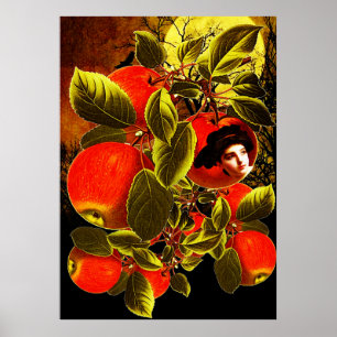 Poster Nuit lunaire