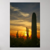 Poster Nuits désertiques (Devant)