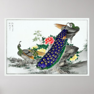 Poster Numata Kashu Peacock et Peony