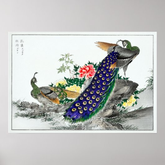 Poster Numata Kashu Peacock et Peony (Devant)