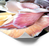 Poster Numbers 6:24 Lord bless you (Coin)