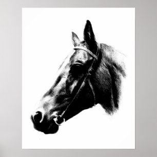 Poster numérique crayon noir blanc cheval