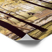 Poster Numéro Cerebus #114 imprimé (Coin)