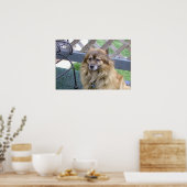 Poster Numéro un fils (Cuisine)